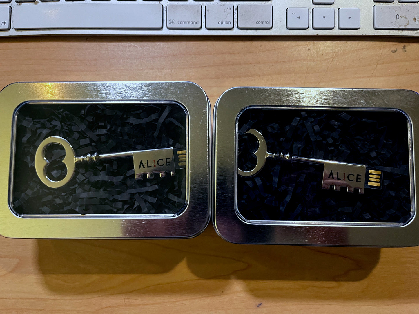 AL1CE Master Skeleton USB Key