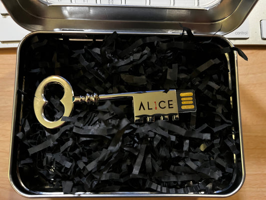 AL1CE Master Skeleton USB Key