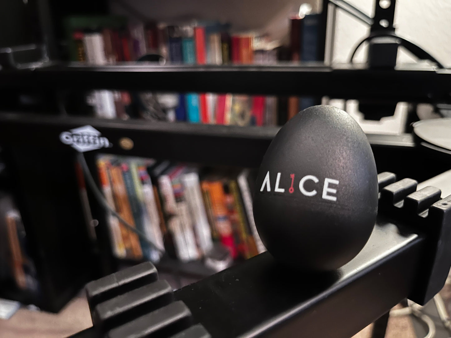 AL1CE Branded Egg Shaker